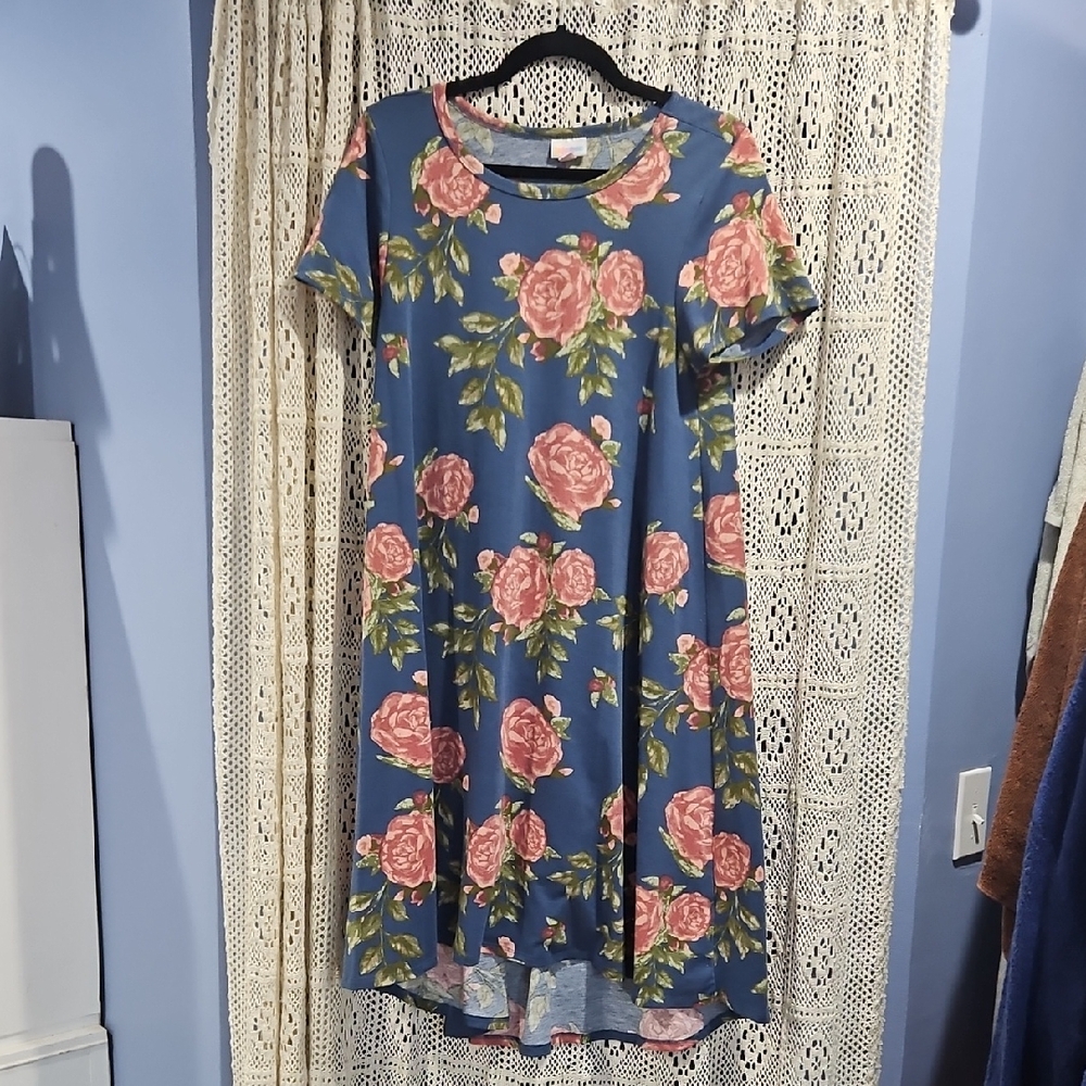 Lularoe Blue & Pink Floral Carly Swing Dress Small